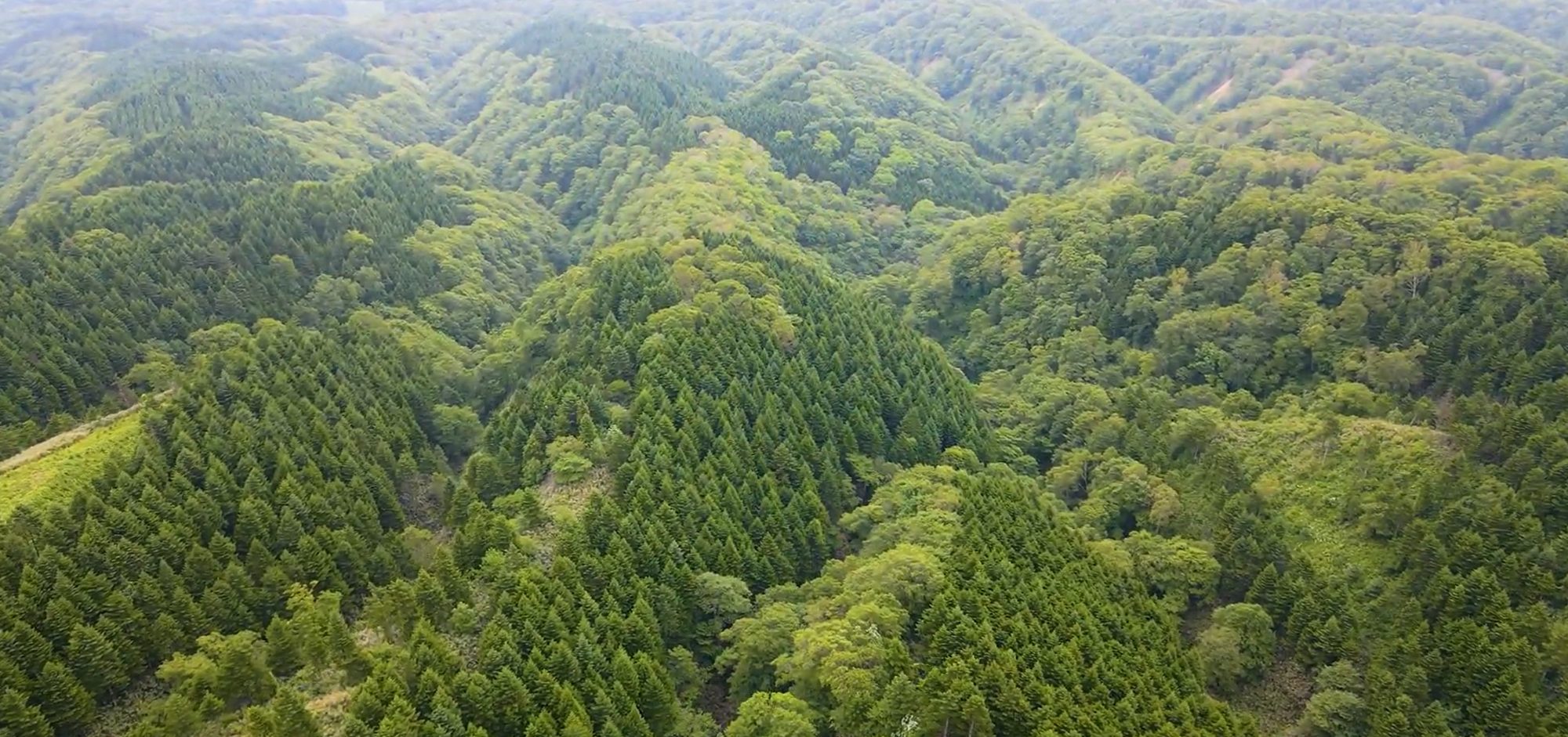 空撮解析